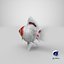 Fantail Goldfish