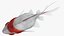 Fantail Goldfish