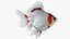 Fantail Goldfish
