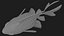 Fantail Goldfish