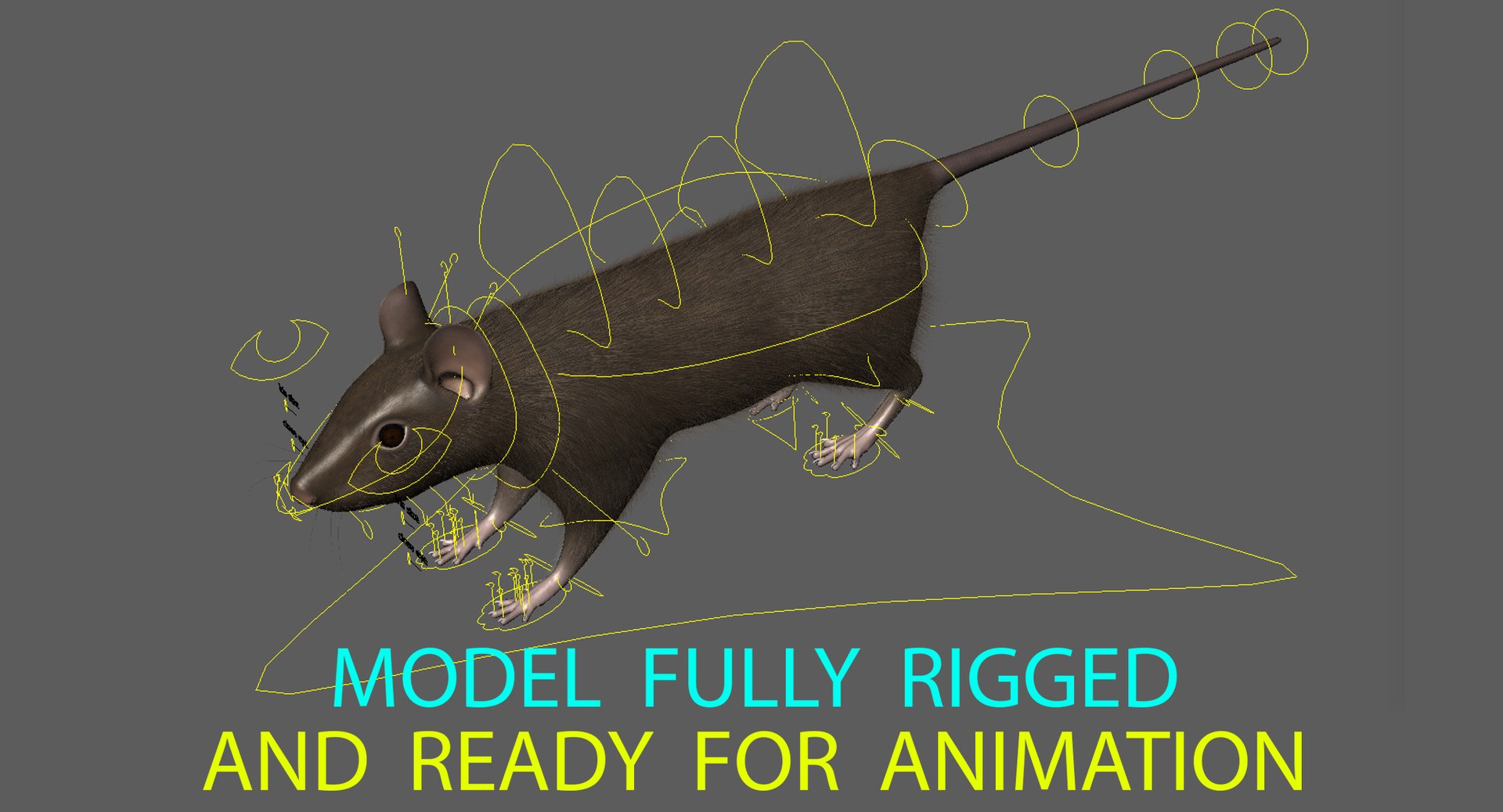 3d brown rat https://p.turbosquid.com/ts-thumb/Zi/UXHGQN/bvpGZioI/rigged_wide_2016/jpg/1470488927/1920x1080/fit_q87/2c7c50db308630fd799e096e68050361db4c2f60/rigged_wide_2016.jpg