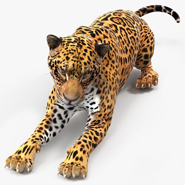 modelo 3d Jaguar acostado - TurboSquid 2217602