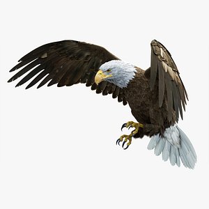 American Bald Eagle RIGGED