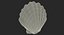 3D Sea Shells Collection 6 model