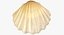 3D Sea Shells Collection 6 model