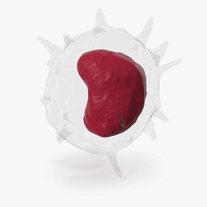 Monocyte Blood Cell model