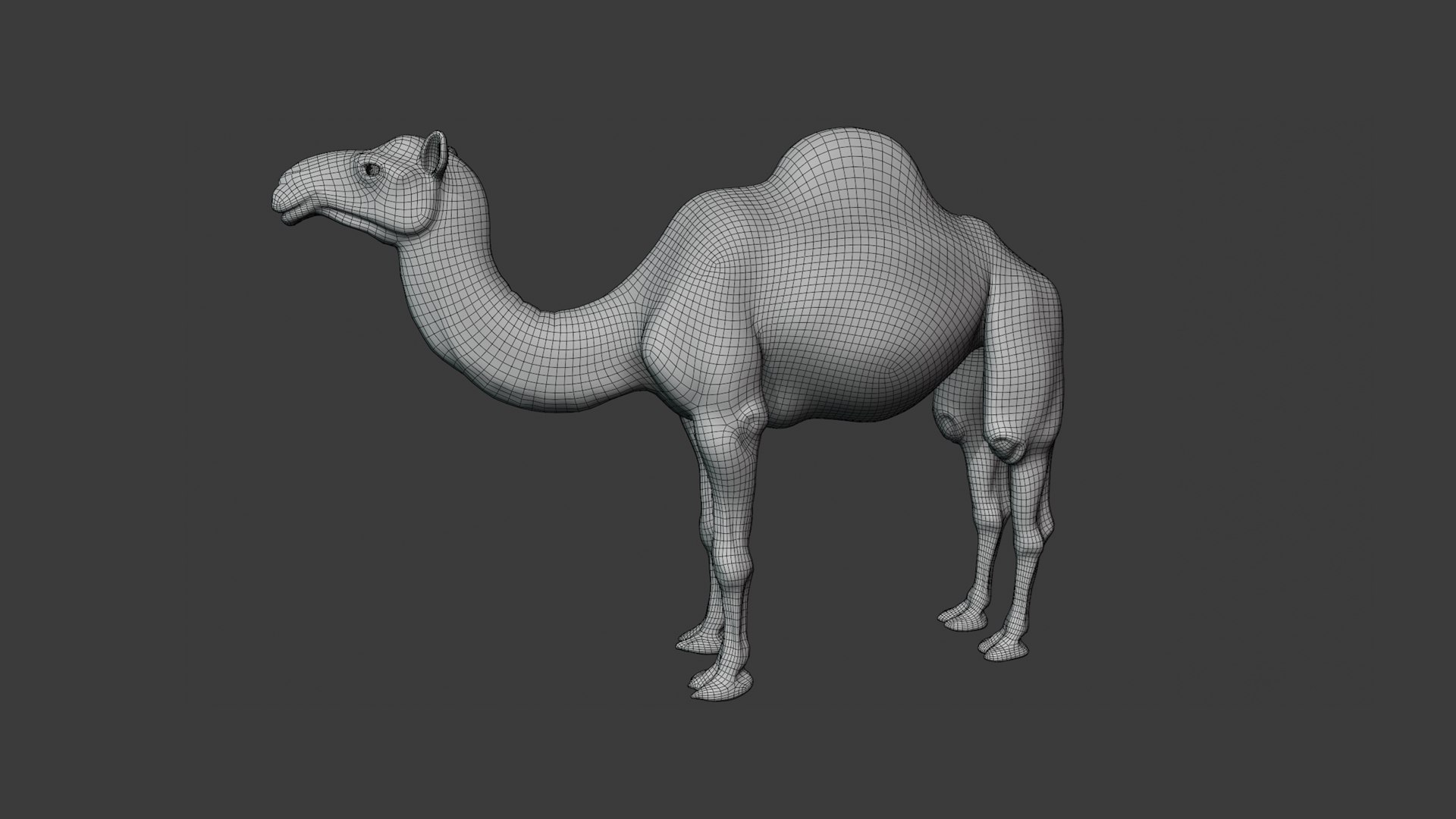 Realistic Animated Camel Rigged and Low Poly Game Ready Low-poly 3D model 3D model https://p.turbosquid.com/ts-thumb/Zi/wCyHKB/Hb/17/png/1774797767/1920x1080/fit_q87/92e85a1d3fdaed7bc02ed807bcdddf360b4a9c27/17.jpg