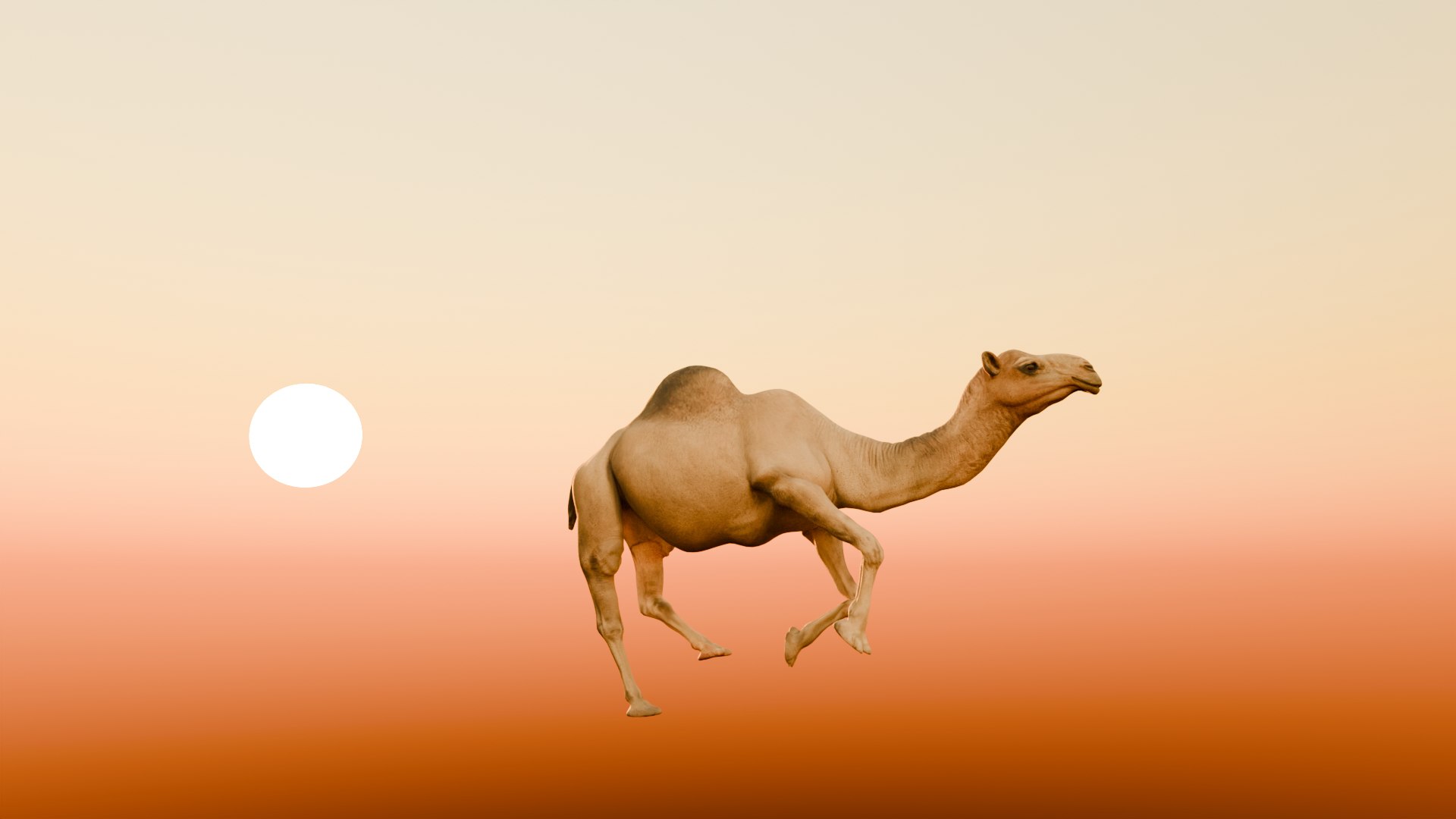Realistic Animated Camel Rigged and Low Poly Game Ready Low-poly 3D model 3D model https://p.turbosquid.com/ts-thumb/Zi/wCyHKB/Vj/12/png/1774797759/1920x1080/fit_q87/429fafe63efed171688d784274d0498e82301dca/12.jpg