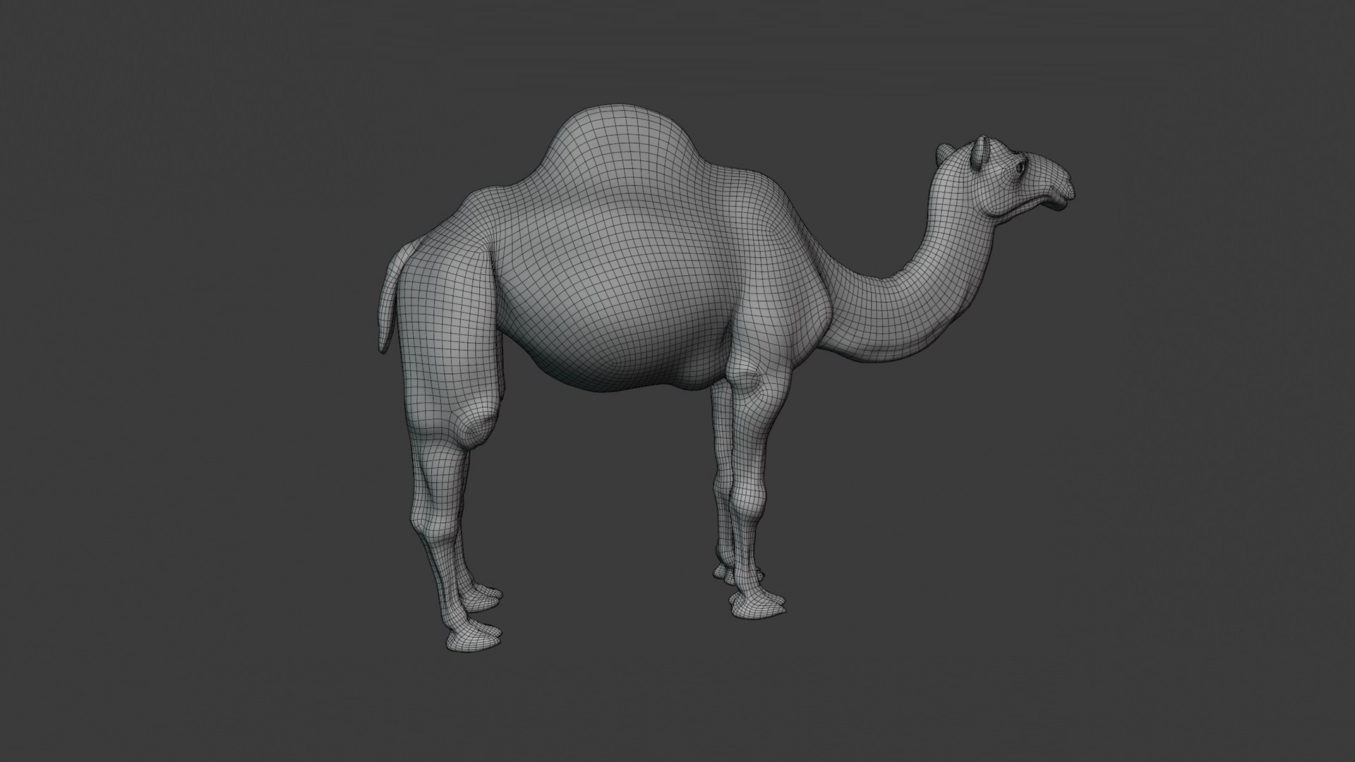 Realistic Animated Camel Rigged and Low Poly Game Ready Low-poly 3D model 3D model https://p.turbosquid.com/ts-thumb/Zi/wCyHKB/aB/18/png/1774797768/1920x1080/fit_q87/4f255684a025df6af6ce85152b69b04faae4de64/18.jpg
