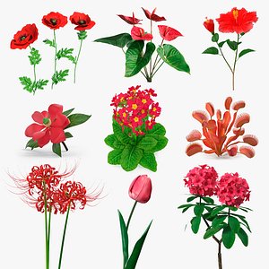 Red Flowering Plants Collection 7 3D model