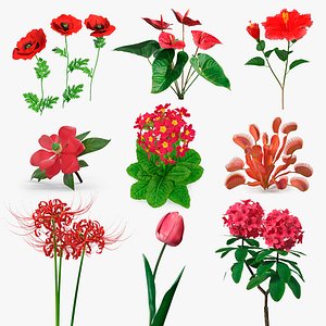 Red Flowering Plants Collection 7