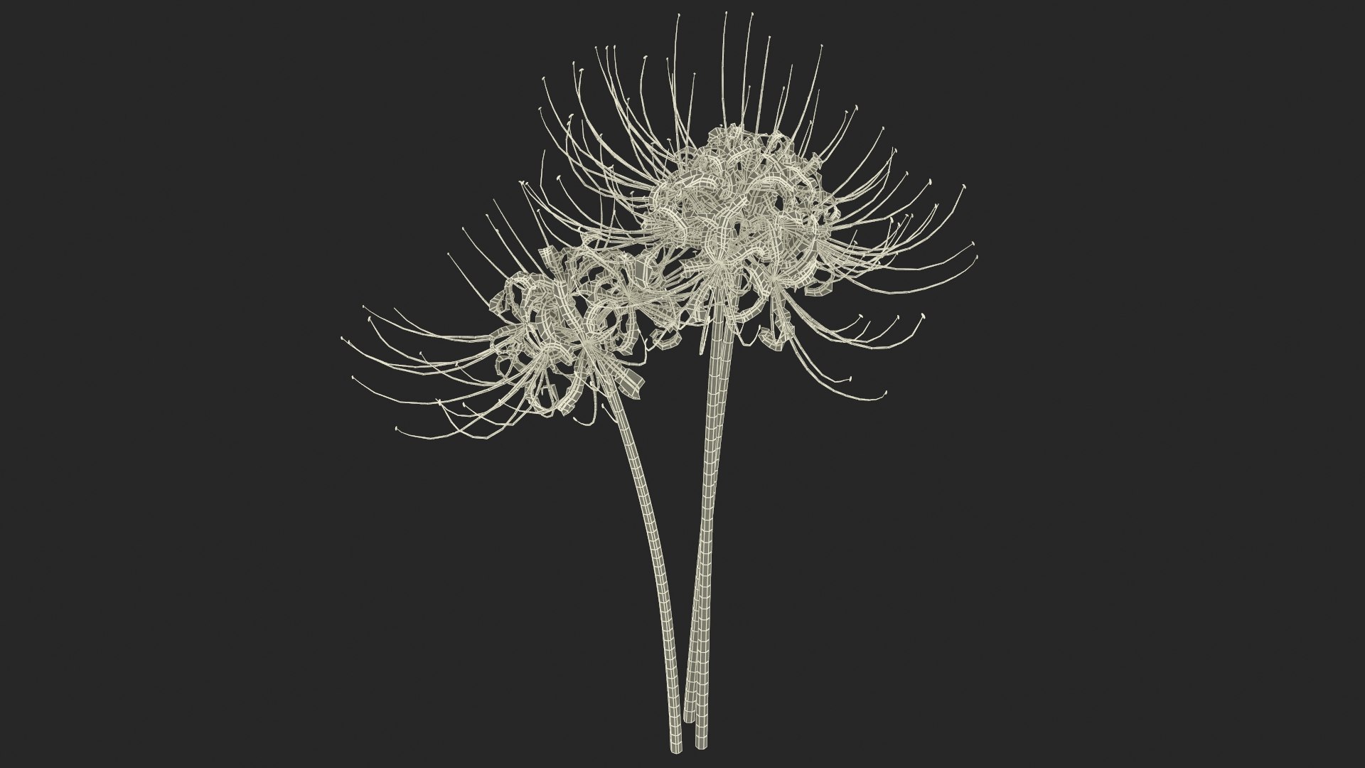 Red Flowering Plants Collection 7 3D model https://p.turbosquid.com/ts-thumb/Zi/ym7sYU/Sp/red_flowering_plants_collection_7_027/jpg/1777015139/1920x1080/fit_q87/a8194a3ceb7447ded9dce4940ce058f80475a6aa/red_flowering_plants_collection_7_027.jpg