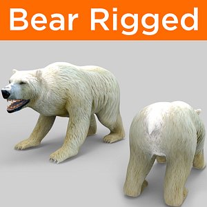 bear rigged 3D model