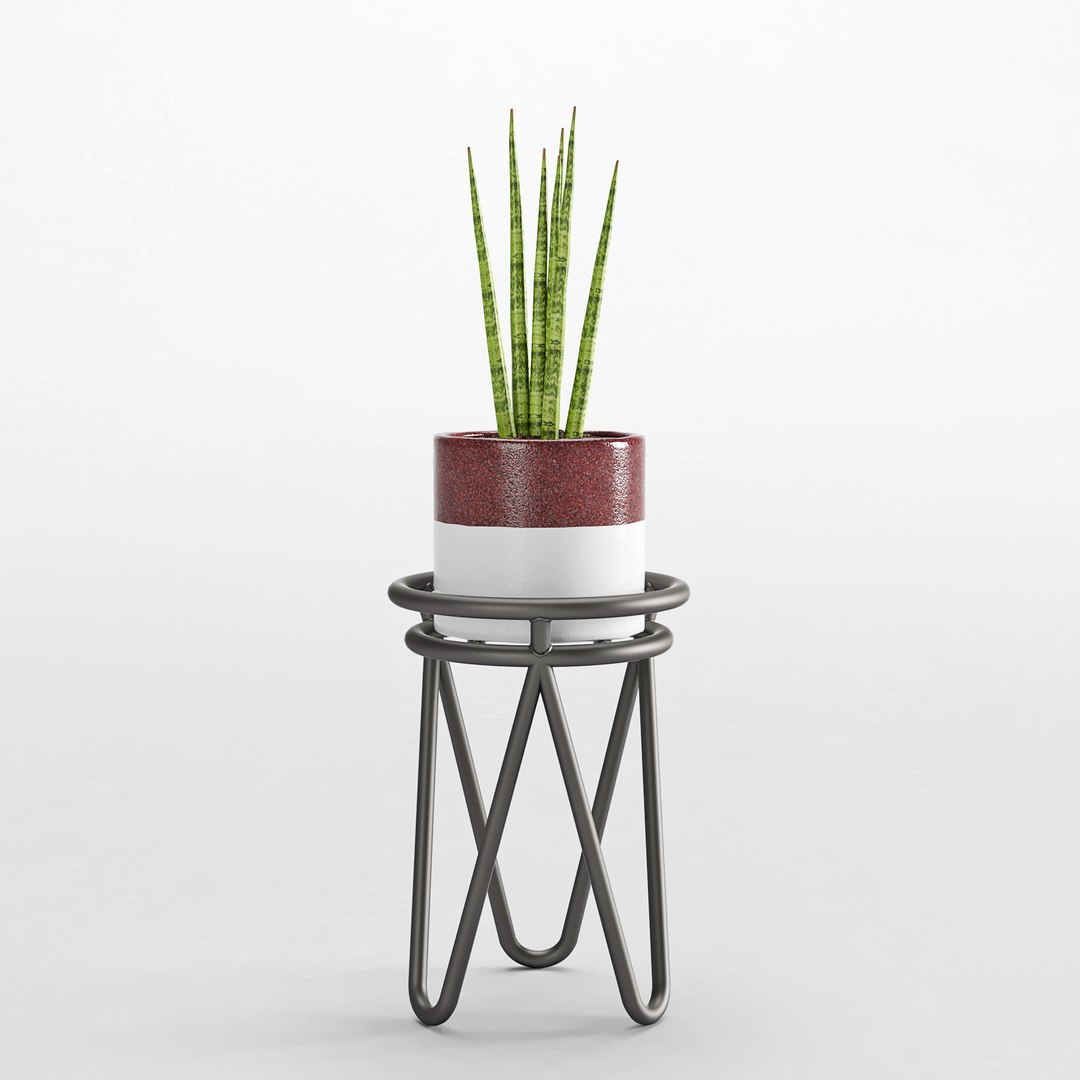3D houseplant 35 model https://p.turbosquid.com/ts-thumb/Zj/5Cgva8/Bse30QEq/5/jpg/1558065671/1920x1080/fit_q87/f6ab7be8129dd194ace83303fad9f1c54d3865fb/5.jpg