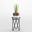 Houseplant 35