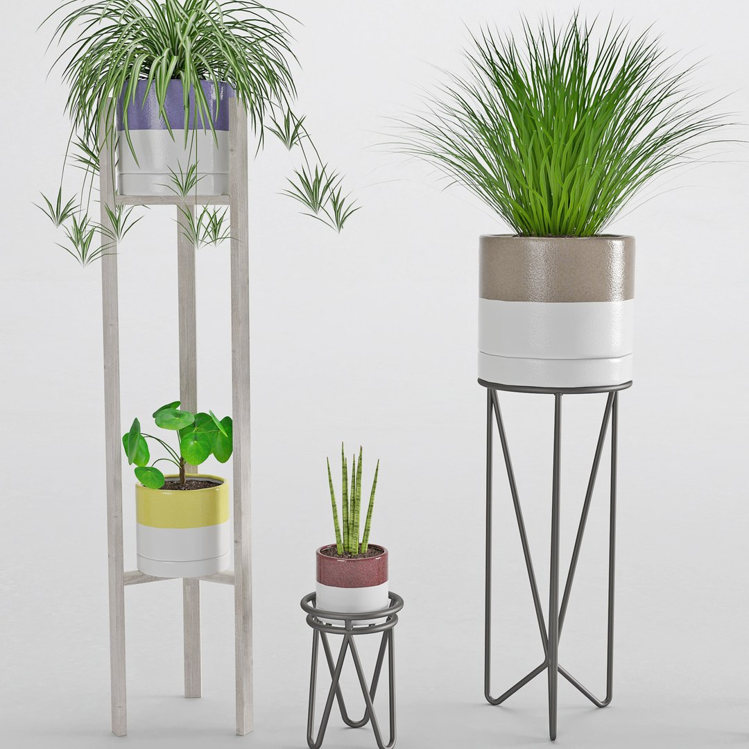 3D houseplant 35 model https://p.turbosquid.com/ts-thumb/Zj/5Cgva8/QoNJMKGg/3/jpg/1558065671/1920x1080/fit_q87/bf490569328ec57016c292bab1b68173d1501268/3.jpg