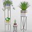 Houseplant 35
