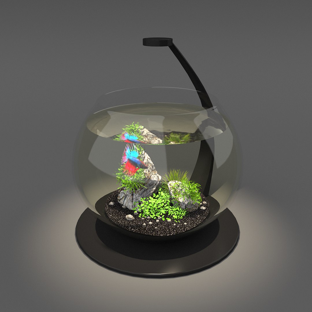 3D Bowl Aquarium, 1147116
