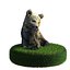 Bear Brown Cub