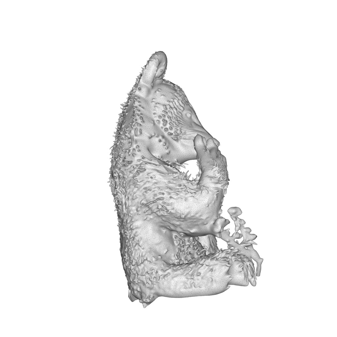Bear Brown Cub 3D model https://p.turbosquid.com/ts-thumb/Zj/8DHoue/Hh/brownbearcubwf/png/1789946197/1920x1080/fit_q87/118abdf93f2715f06c34a16cc25afc0c53f737ef/brownbearcubwf.jpg
