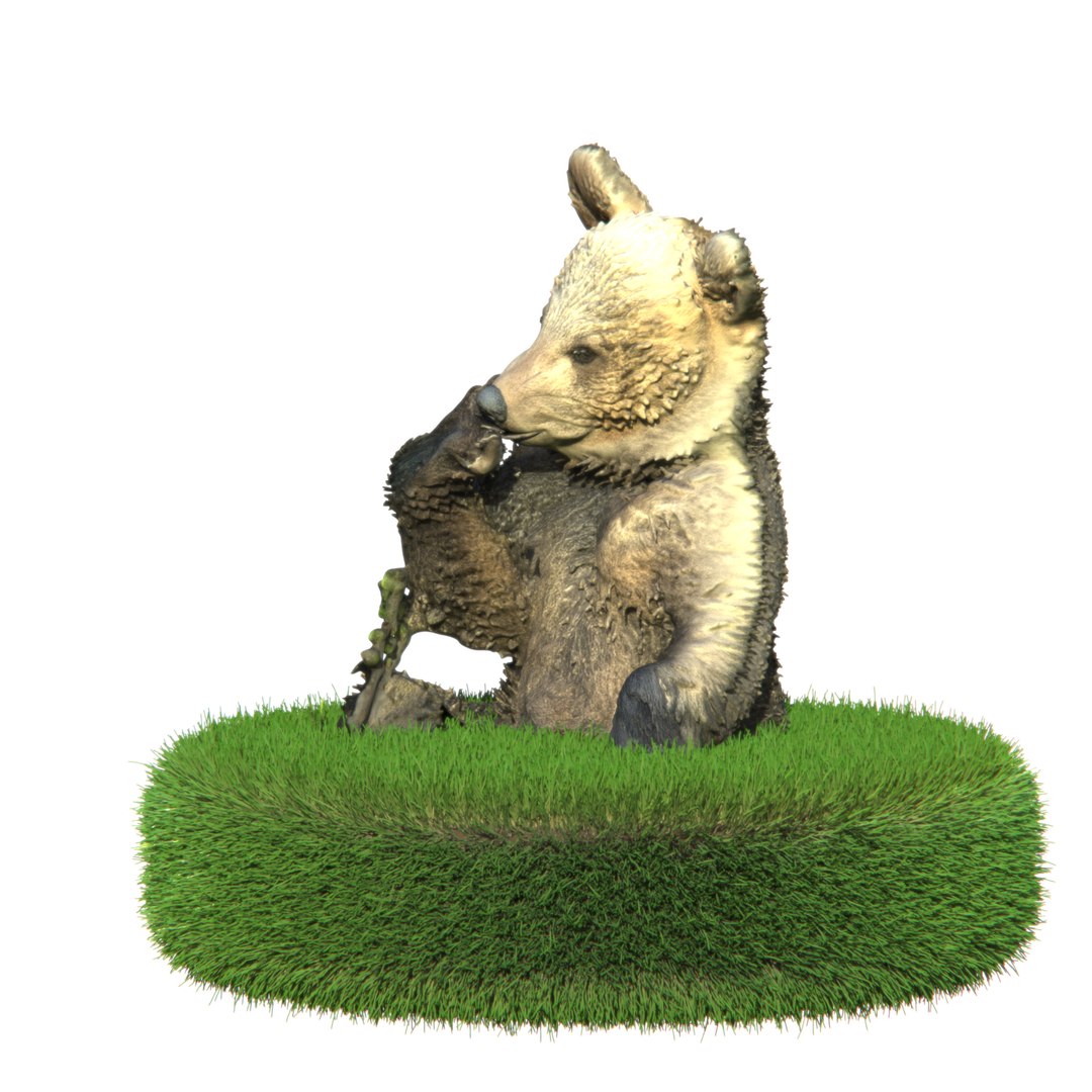 Bear Brown Cub 3D model https://p.turbosquid.com/ts-thumb/Zj/8DHoue/NC/bears.527/png/1789946186/1920x1080/fit_q87/8cbb1b9ba4ba6d9d103d915e83bad9610881da37/bears.527.jpg