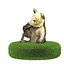 Bear Brown Cub