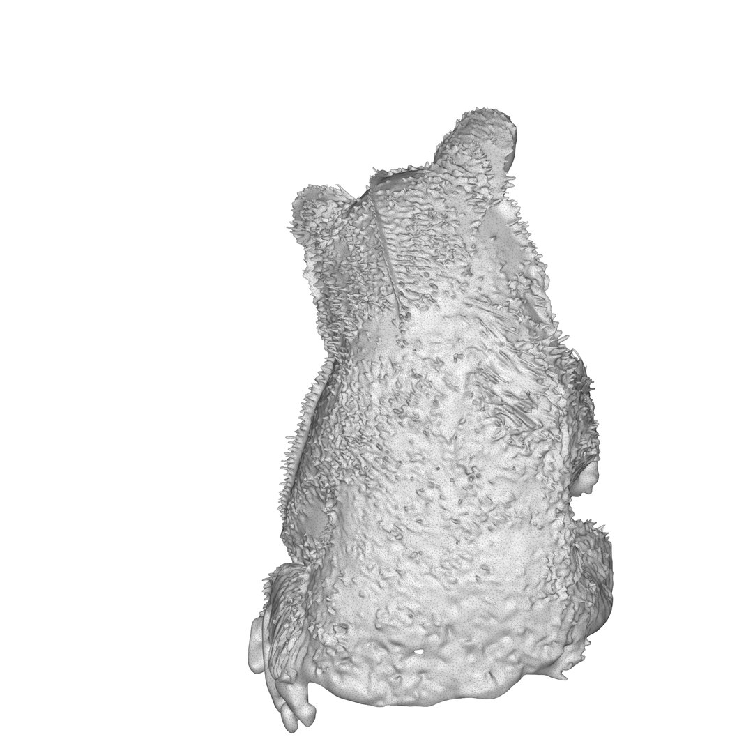 Bear Brown Cub 3D model https://p.turbosquid.com/ts-thumb/Zj/8DHoue/T6/brownbearcubwf2/png/1789946199/1920x1080/fit_q87/f97891691c4dae3815310733d66c6be14db9f8a7/brownbearcubwf2.jpg