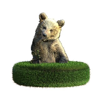 Bear Brown Cub