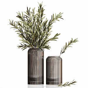 Olives in vases 3 3D model