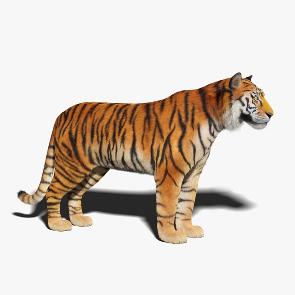 3D tiger fur