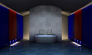 max bathroom 2010 standard edition