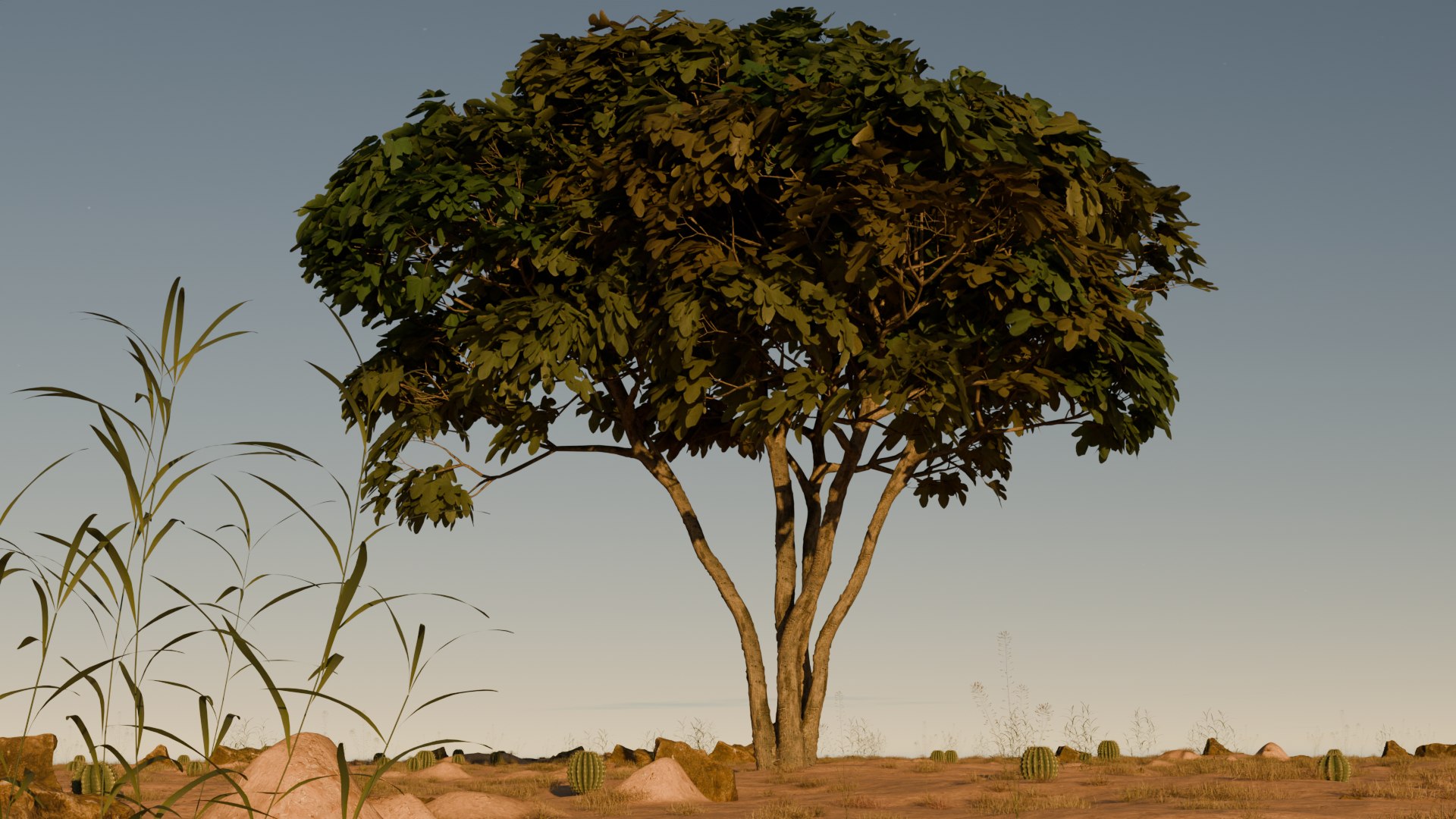 Tree In Desert 3D Model - TurboSquid 2205726