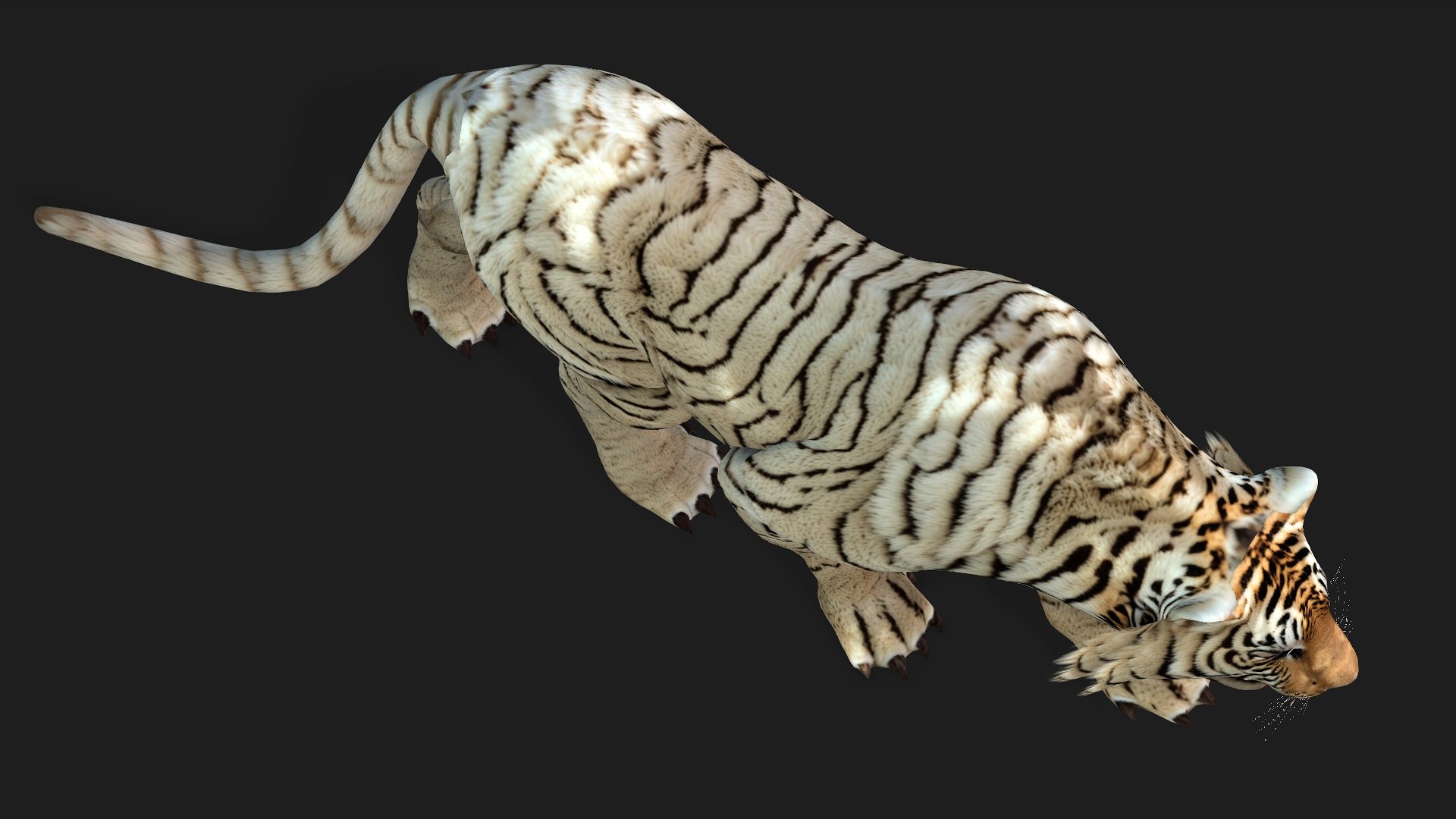 3D Tiger-A6 - TurboSquid 2445802