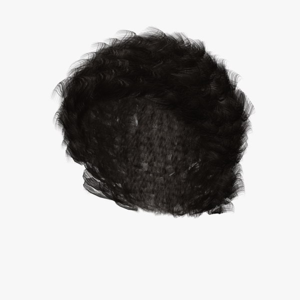 roman curly hair faces 3d model