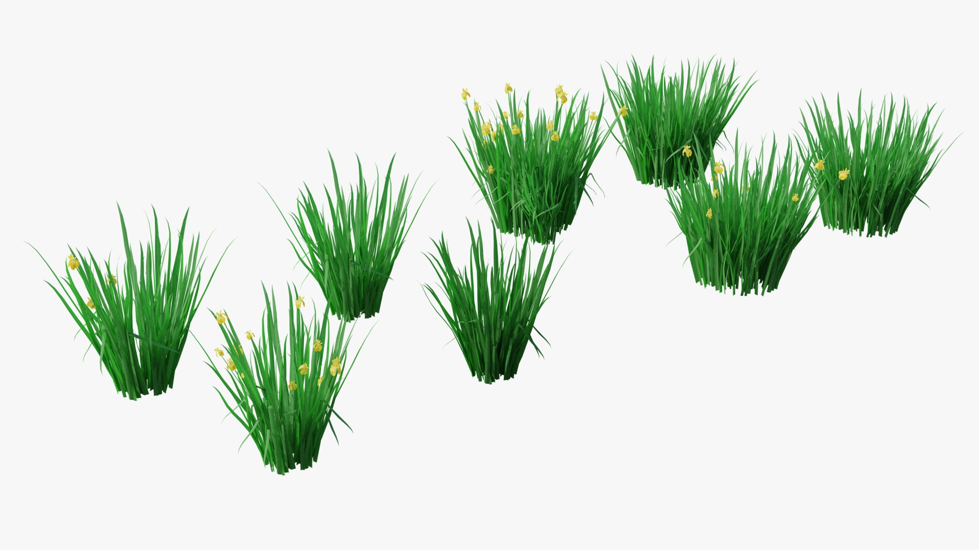 3D Wetland Wild Grass and Flowers model https://p.turbosquid.com/ts-thumb/Zj/x0Mv3n/6m/loose_plant0029copy/png/1778443648/1920x1080/fit_q87/ae91c786f4454b7552d02913be145595ba4d18db/loose_plant0029copy.jpg