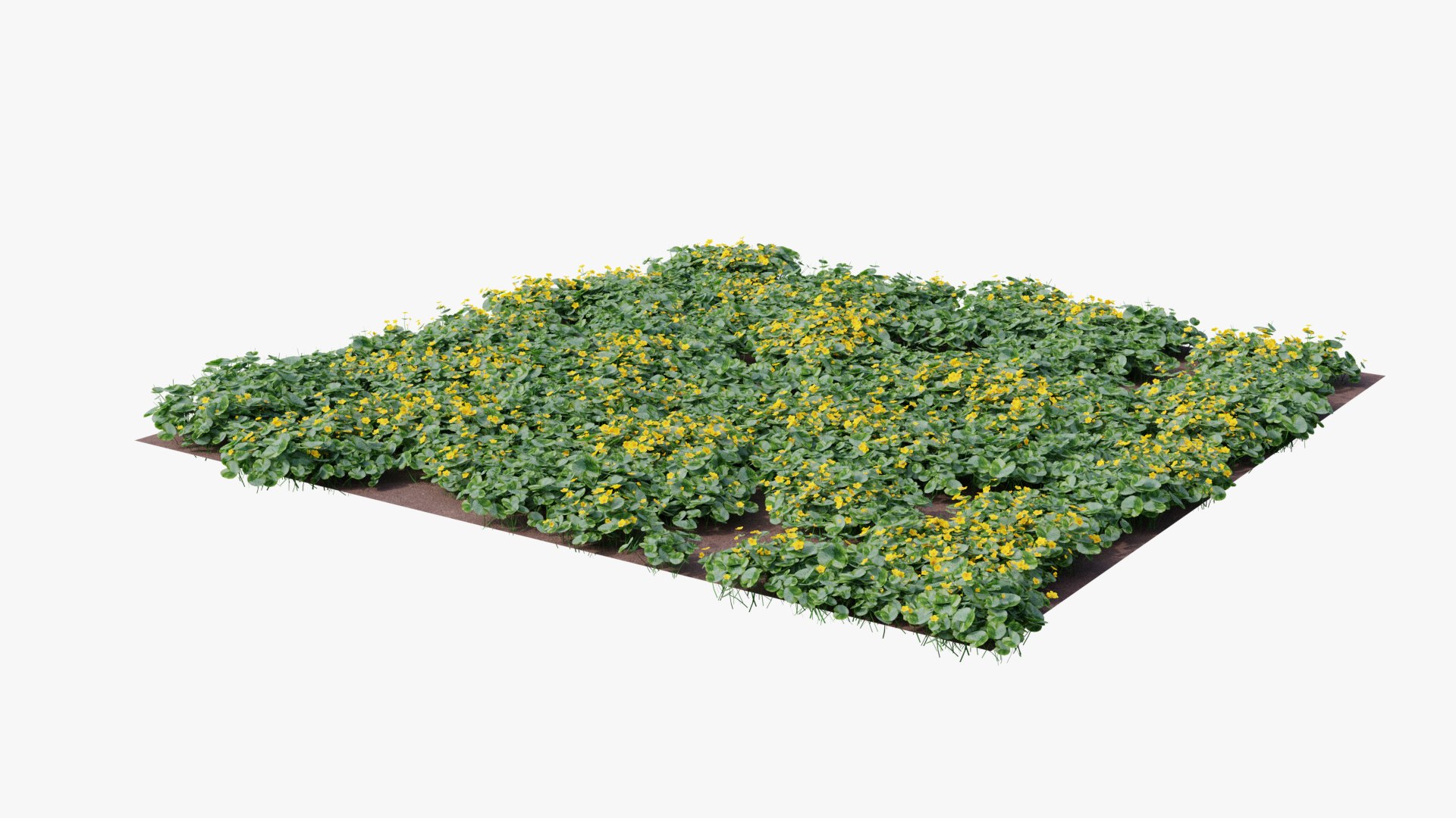 3D Wetland Wild Grass and Flowers model https://p.turbosquid.com/ts-thumb/Zj/x0Mv3n/87/loose_plant_plane0018copy/png/1778443620/1920x1080/fit_q87/8ff4501b81b80d46a533c0e45d251a5df77dd9c4/loose_plant_plane0018copy.jpg