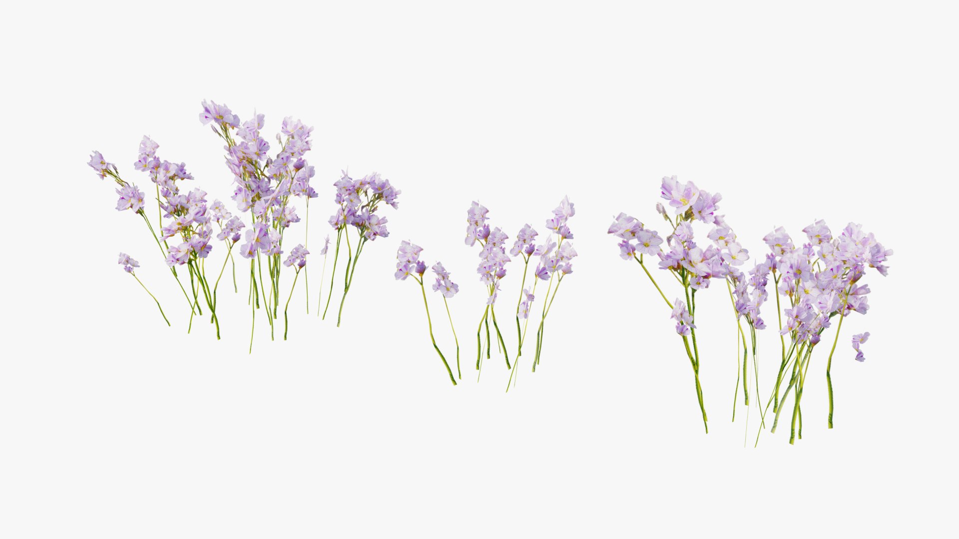3D Wetland Wild Grass and Flowers model https://p.turbosquid.com/ts-thumb/Zj/x0Mv3n/HD/loose_plant0036copy/png/1778443652/1920x1080/fit_q87/f73b8b99d6626fce5b39d6b58c991ed286c9f88d/loose_plant0036copy.jpg