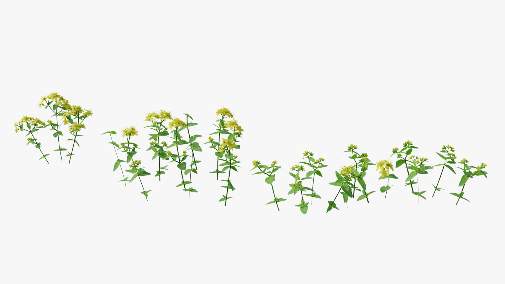 3D Wetland Wild Grass and Flowers model https://p.turbosquid.com/ts-thumb/Zj/x0Mv3n/W1/loose_plant0030copy/png/1778443649/1920x1080/fit_q87/01dbe73674b8b60553cadf09664635f23e0dc3f7/loose_plant0030copy.jpg