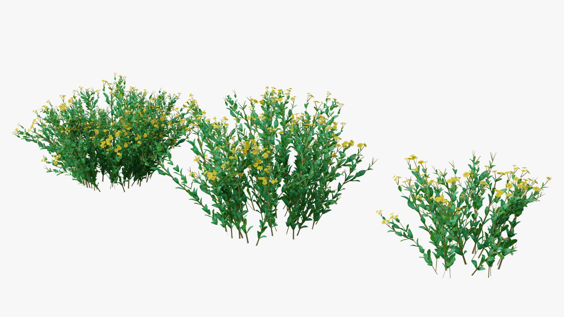 3D Wetland Wild Grass and Flowers model https://p.turbosquid.com/ts-thumb/Zj/x0Mv3n/Z8/loose_plant0026copy/png/1778443647/1920x1080/fit_q87/5d2378b10bdec072cb3841d37168b16df0db2236/loose_plant0026copy.jpg