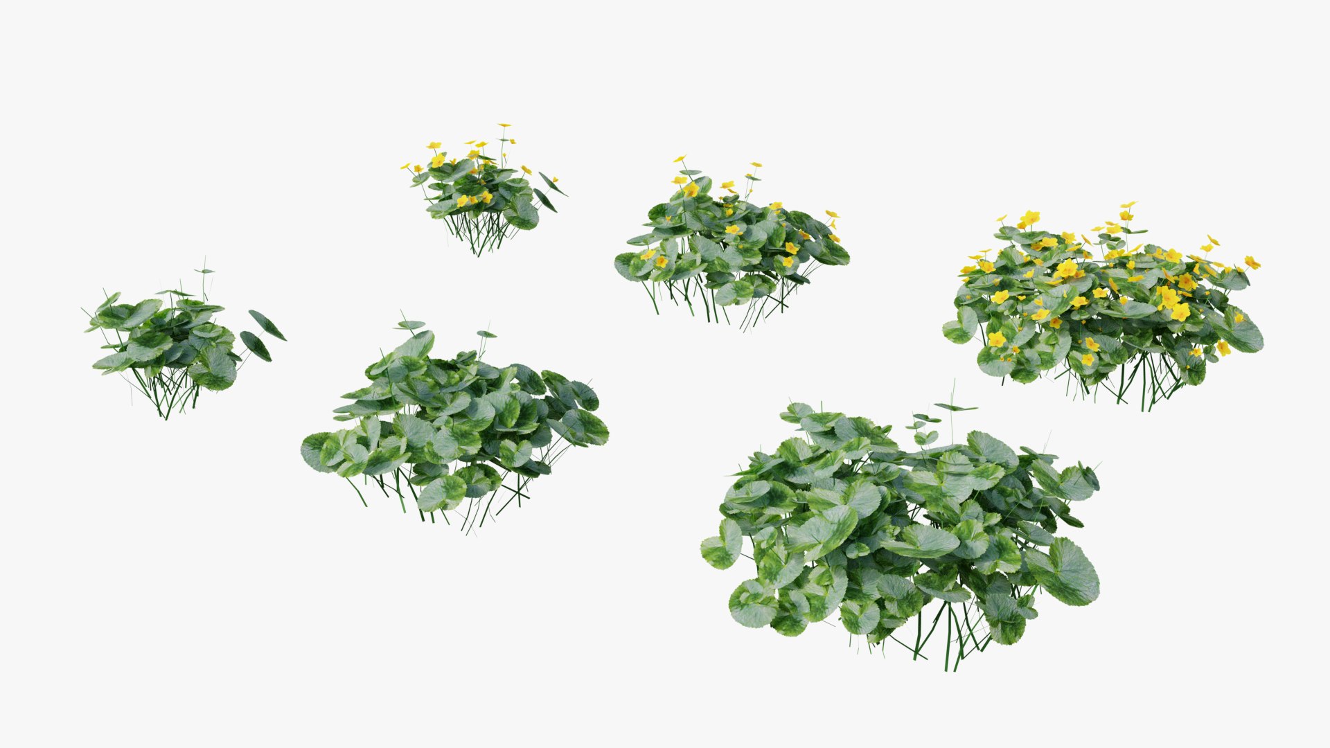 3D Wetland Wild Grass and Flowers model https://p.turbosquid.com/ts-thumb/Zj/x0Mv3n/bc/loose_plant0038copy/png/1778443653/1920x1080/fit_q87/e80f3be5e03080d3544b93d16db4d8d17e1916d1/loose_plant0038copy.jpg