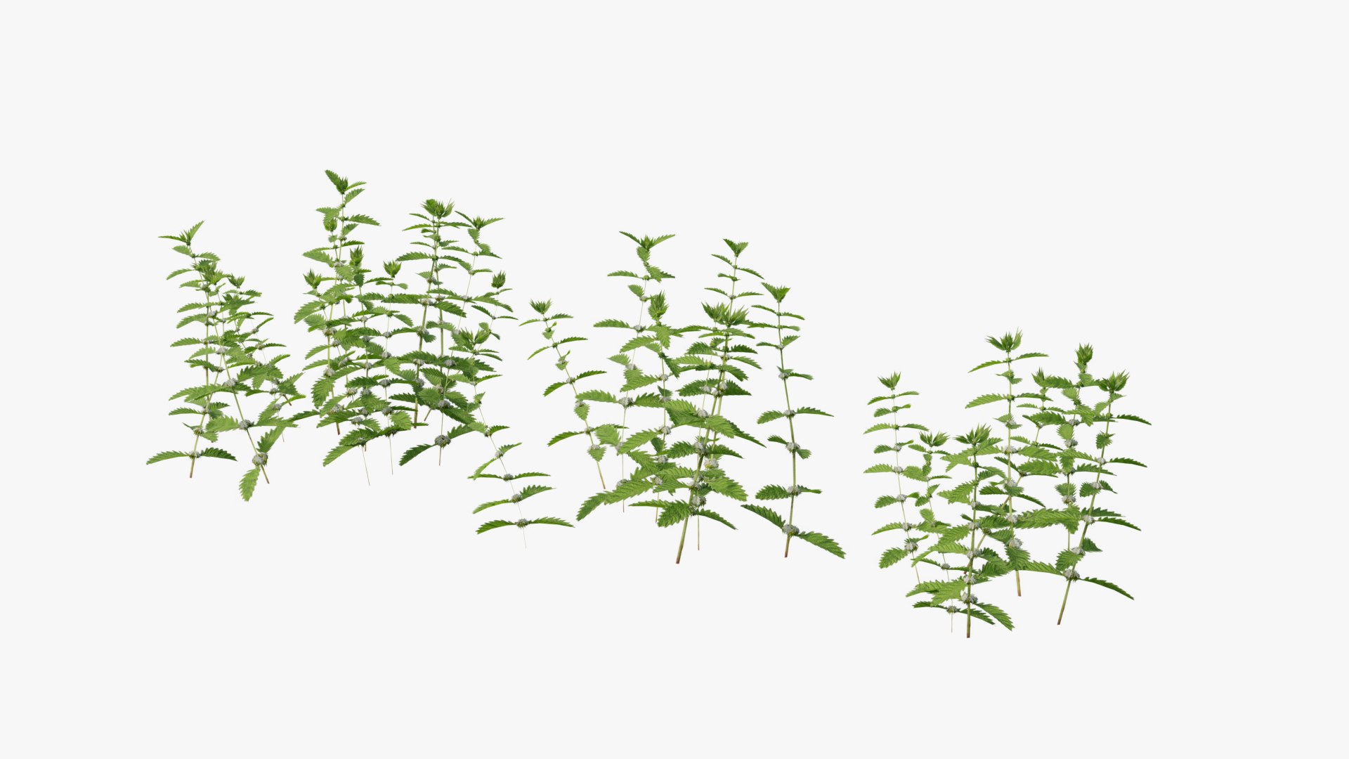 3D Wetland Wild Grass and Flowers model https://p.turbosquid.com/ts-thumb/Zj/x0Mv3n/ec/loose_plant0028copy/png/1778443648/1920x1080/fit_q87/d8be4ec42515af4655c7fe04039c932b87f7d6af/loose_plant0028copy.jpg