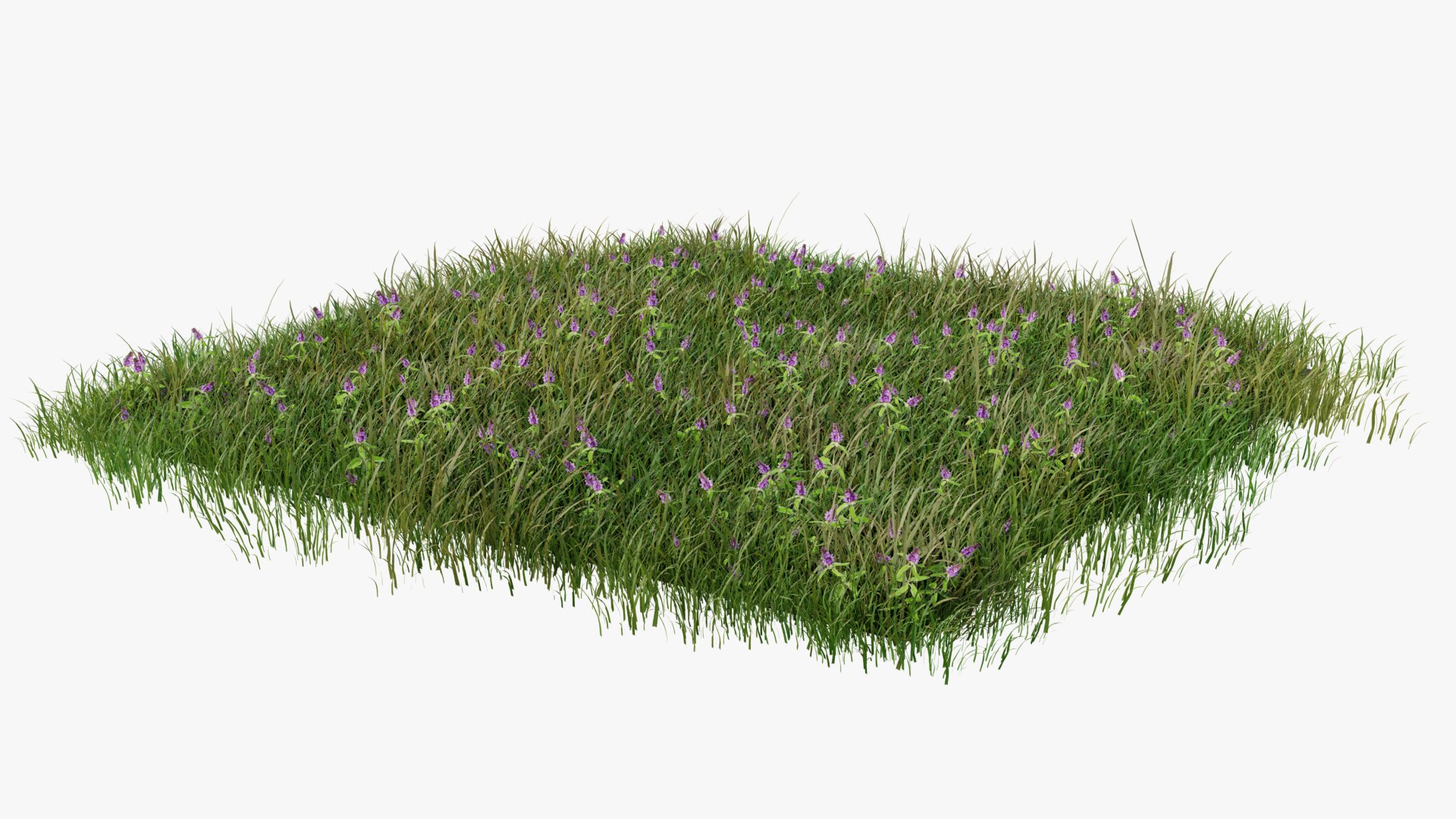 3D Wetland Wild Grass and Flowers model https://p.turbosquid.com/ts-thumb/Zj/x0Mv3n/ow/loose_plant_plane0002copy/png/1778443612/1920x1080/fit_q87/3f12fbf61da9c66831a10241228dc13b2fb75670/loose_plant_plane0002copy.jpg