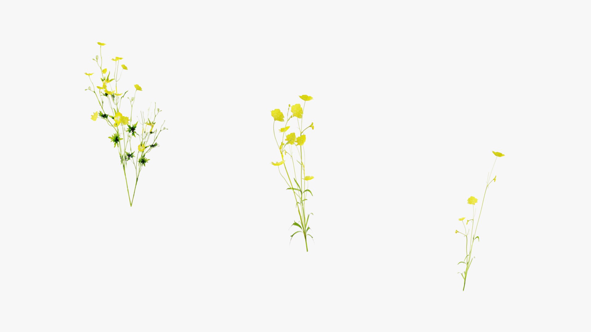 3D Wetland Wild Grass and Flowers model https://p.turbosquid.com/ts-thumb/Zj/x0Mv3n/tL/loose_plant0019copy/png/1778443644/1920x1080/fit_q87/97b5e6ce17ee7a4bb8e7db527535a08e7af528d6/loose_plant0019copy.jpg