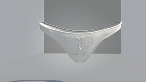 3D Womens underwear model