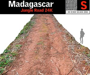 madagascar jungle road 24k 3D model