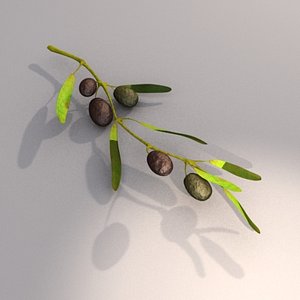 olives branch max