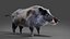 Fur Wild Boar V04 Rigged e Animação