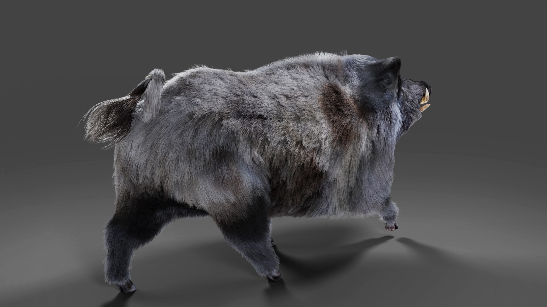 3D Fur Wild Boar V04 Rigged and Animation https://p.turbosquid.com/ts-thumb/Zk/RFHOyf/fz/04/jpg/1687937434/1920x1080/fit_q87/43284552ddb90b6c8c9f6c86061349d8a310e173/04.jpg