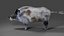 Fur Wild Boar V04 Rigged e Animação
