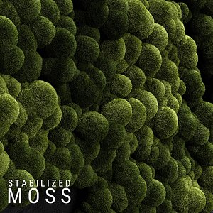 Stabilized Moss 3